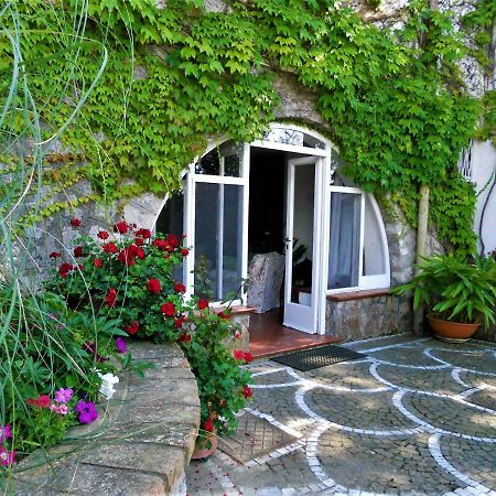 Villa Le Olivine Сорренто Екстер'єр фото