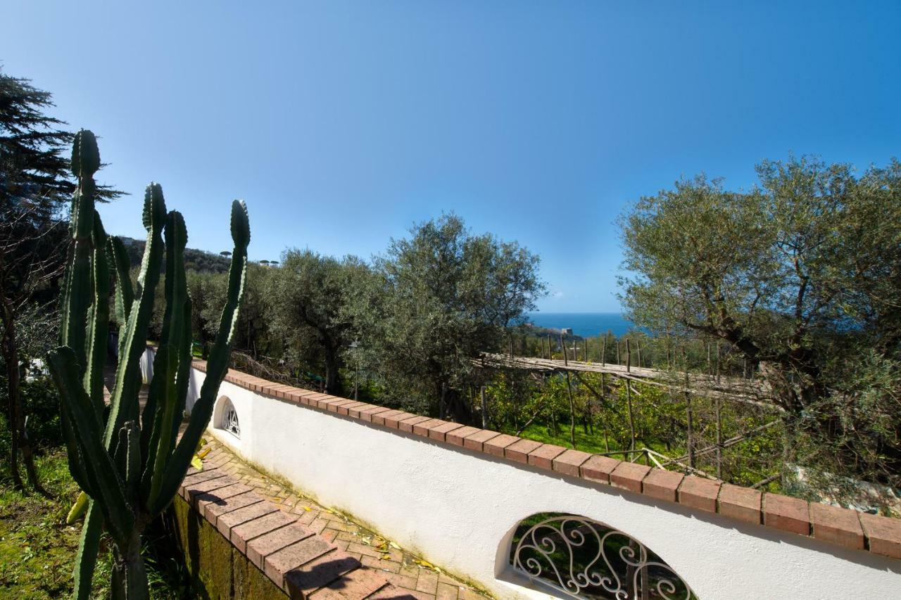 Villa Le Olivine Сорренто Екстер'єр фото