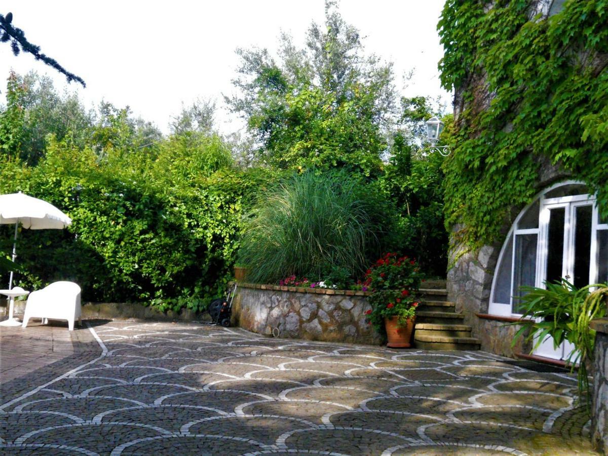 Villa Le Olivine Сорренто Екстер'єр фото