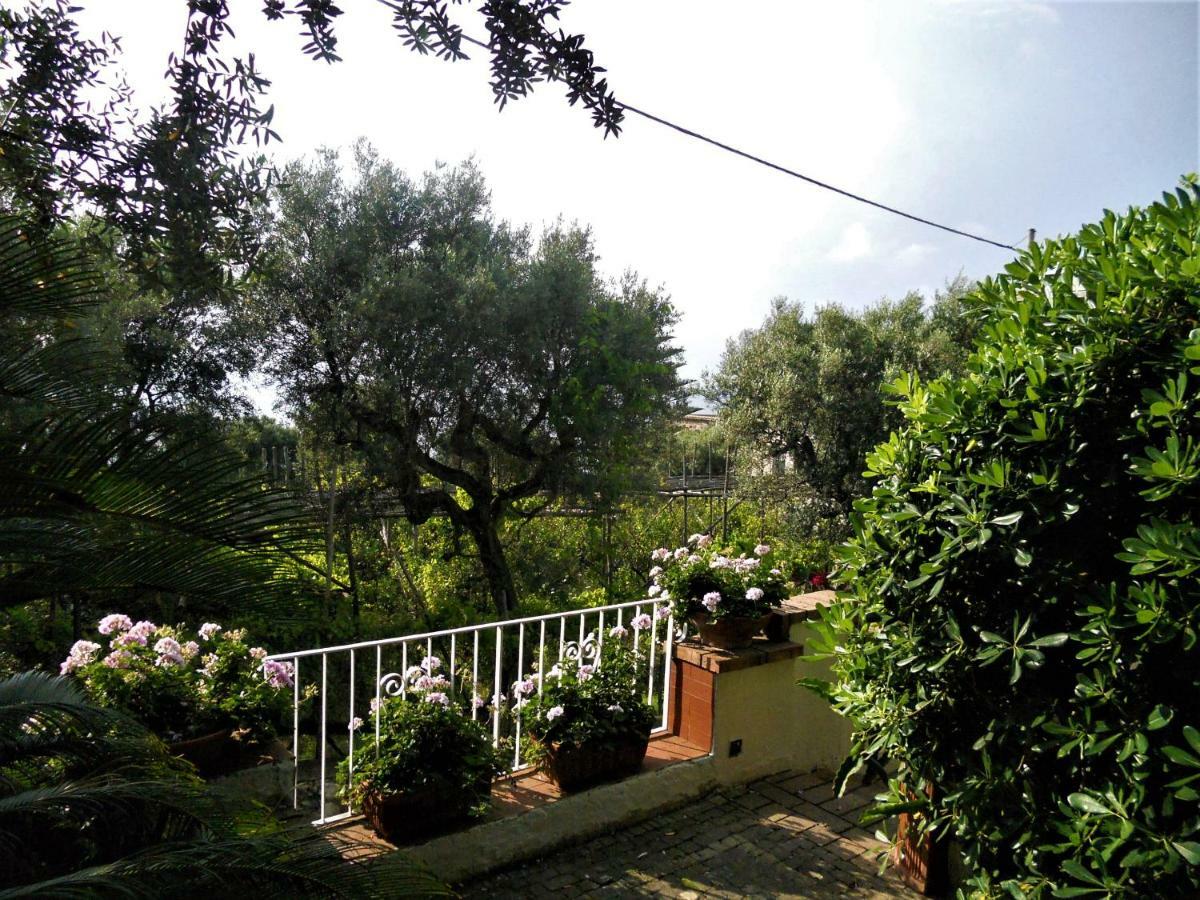 Villa Le Olivine Сорренто Екстер'єр фото