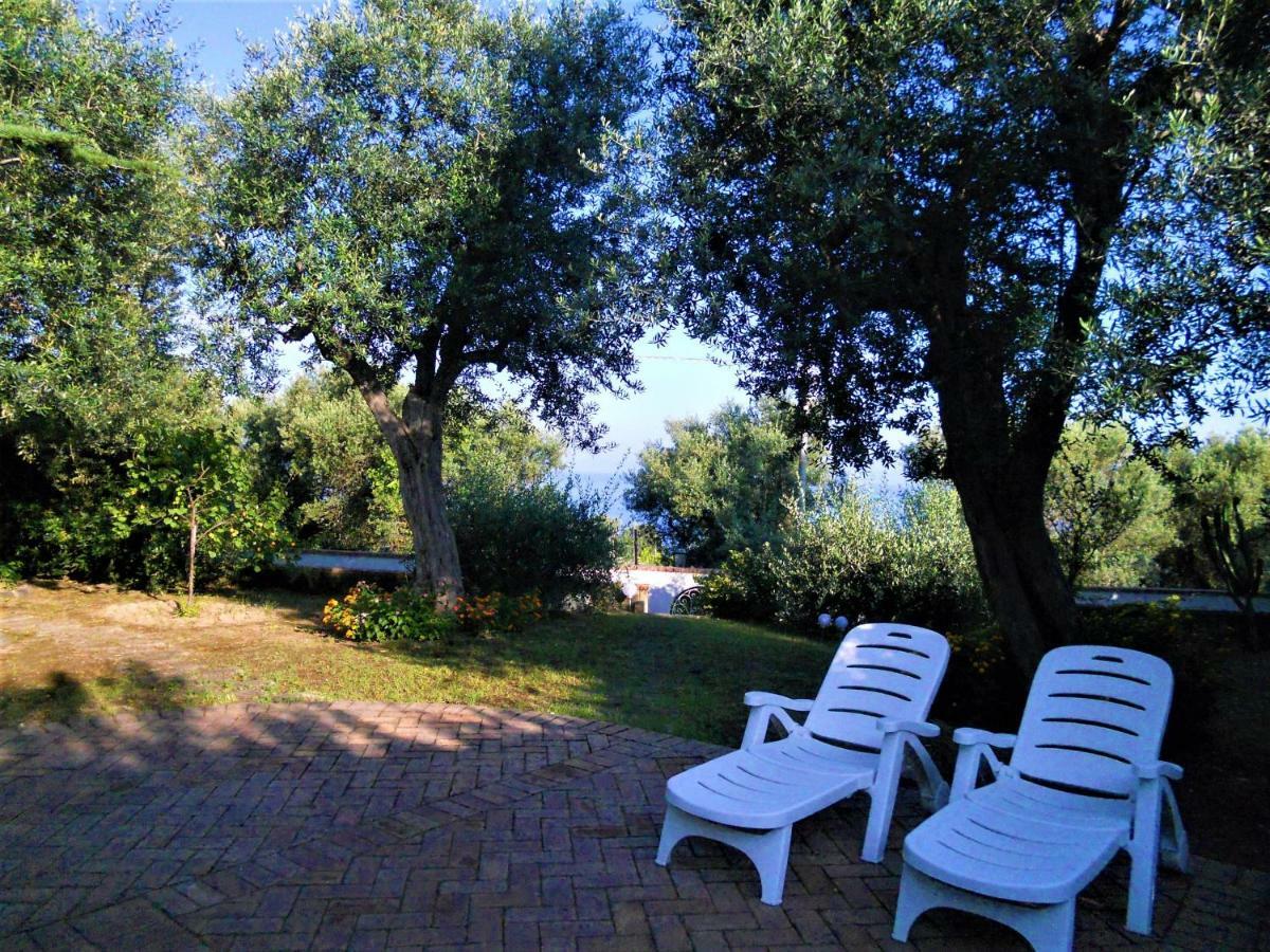 Villa Le Olivine Сорренто Екстер'єр фото