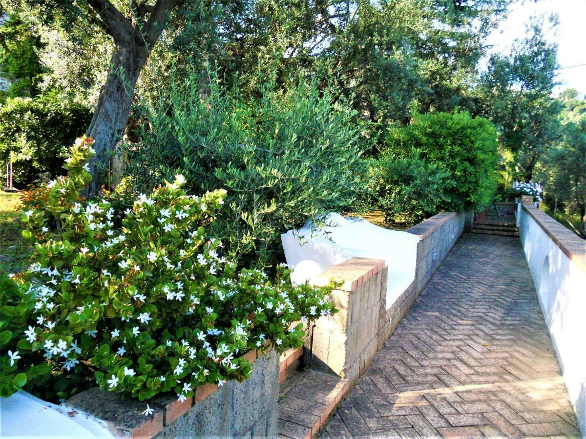 Villa Le Olivine Сорренто Екстер'єр фото