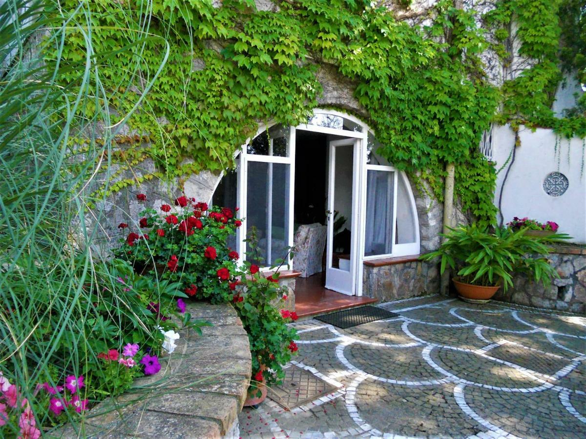 Villa Le Olivine Сорренто Екстер'єр фото